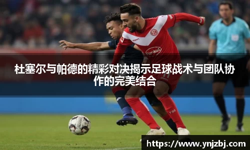 威廉希尔体育